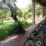 Costantino * Maida