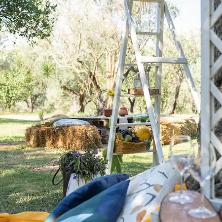 Alojamento de Turismo Rural Costantino *