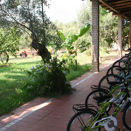Costantino * Maida