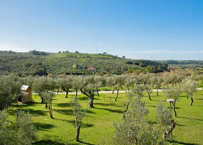 Alojamento de Turismo Rural Costantino