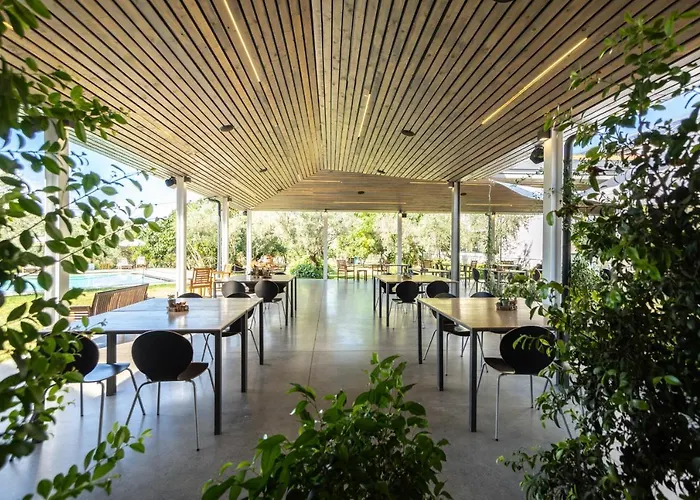 Alojamento de Turismo Rural Costantino *