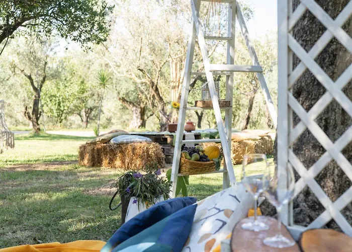Alojamento de Turismo Rural Costantino *